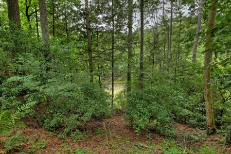 814 Lemmon Lane Ellijay GA 30540