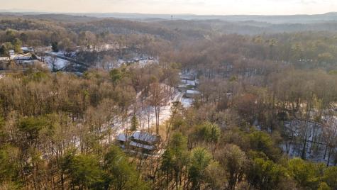 98 Pinson Lane Ellijay GA 30540