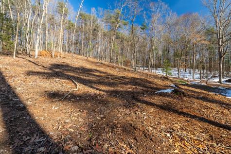 98 Pinson Lane Ellijay GA 30540