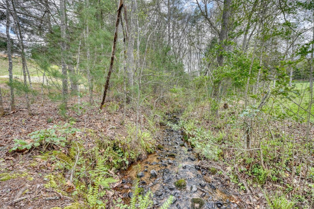 377 Sunset Trail Blairsville GA 30512