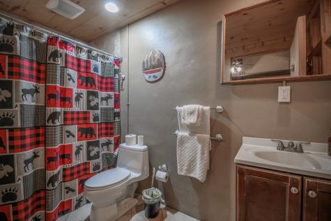55 Anderson Way Blue Ridge GA 30513