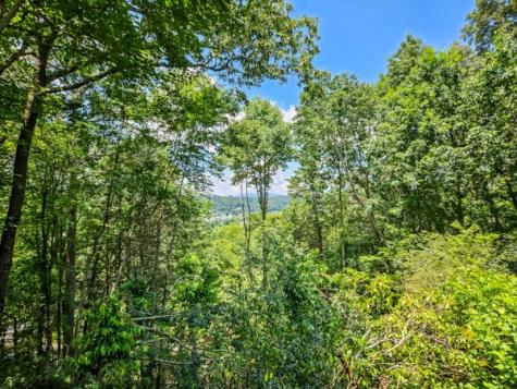 265 Jeff Drive Ellijay GA 30540