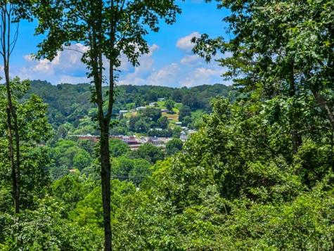 265 Jeff Drive Ellijay GA 30540
