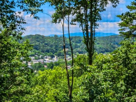 265 Jeff Drive Ellijay GA 30540