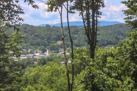 265 Jeff Drive Ellijay GA 30540