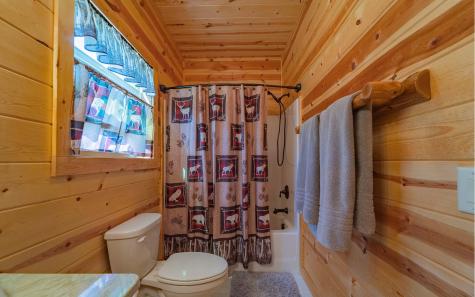 54 Canoe Bend Murphy NC 28906