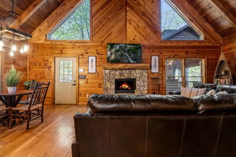 1820 Shady Falls Road Blue Ridge GA 30513