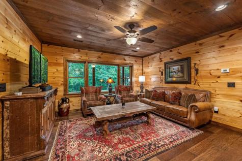 115 Brighton Way Mineral Bluff GA 30559