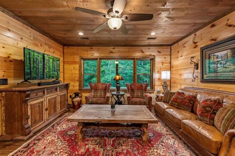 115 Brighton Way Mineral Bluff GA 30559