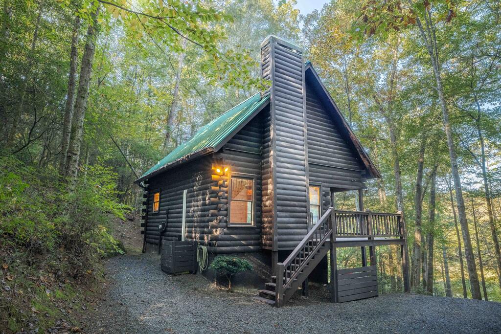226 Pinetree Drive Blue Ridge GA 30513