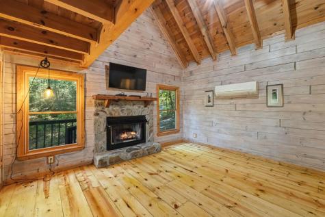 226 Pinetree Drive Blue Ridge GA 30513