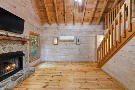 226 Pinetree Drive Blue Ridge GA 30513