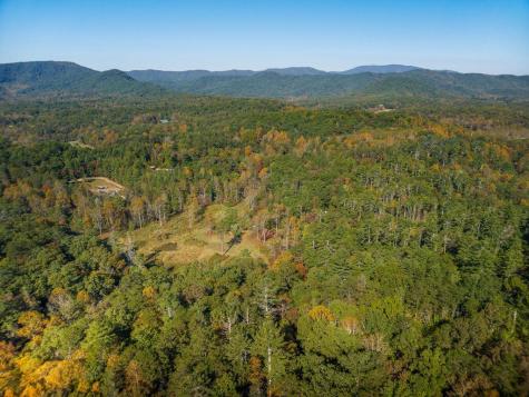226 Pinetree Drive Blue Ridge GA 30513
