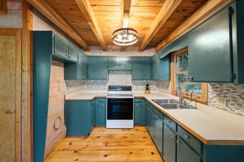 226 Pinetree Drive Blue Ridge GA 30513