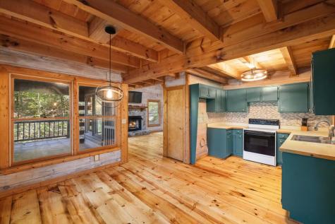 226 Pinetree Drive Blue Ridge GA 30513