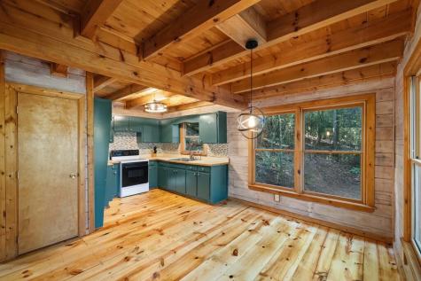 226 Pinetree Drive Blue Ridge GA 30513