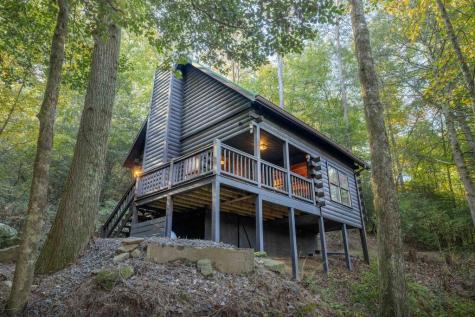 226 Pinetree Drive Blue Ridge GA 30513
