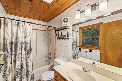 226 Pinetree Drive Blue Ridge GA 30513