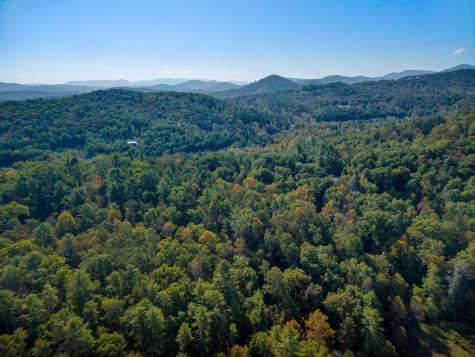 226 Pinetree Drive Blue Ridge GA 30513