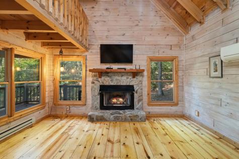 226 Pinetree Drive Blue Ridge GA 30513