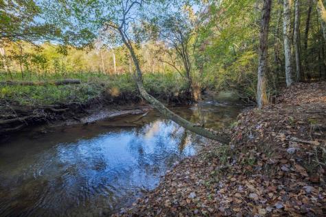 226 Pinetree Drive Blue Ridge GA 30513