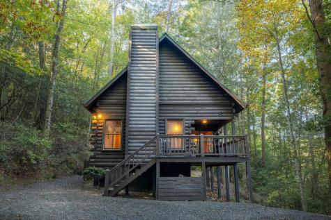 226 Pinetree Drive Blue Ridge GA 30513