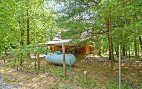 999 Old Mill Road Mineral Bluff GA 30559