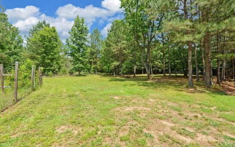999 Old Mill Road Mineral Bluff GA 30559
