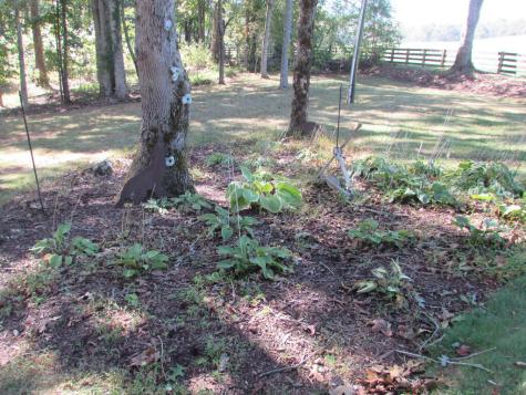 1979 Crooked Creek Connector Young Harris GA 30582