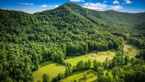 225 Cohutta Ranch Road Blue Ridge GA 30513