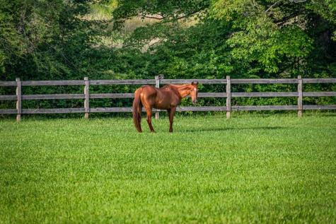 225 Cohutta Ranch Road Blue Ridge GA 30513