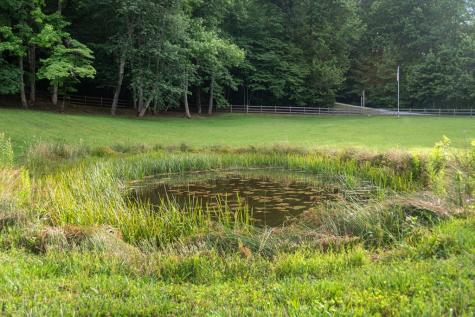 225 Cohutta Ranch Road Blue Ridge GA 30513