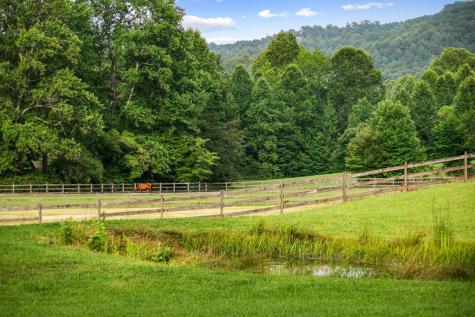 225 Cohutta Ranch Road Blue Ridge GA 30513