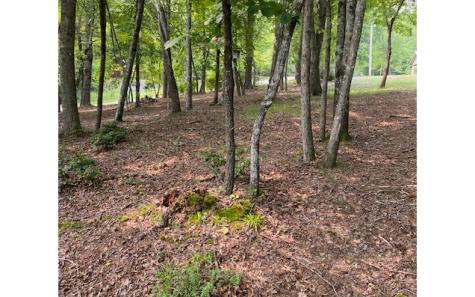 244 Ludlum Drive Hayesville NC 28904