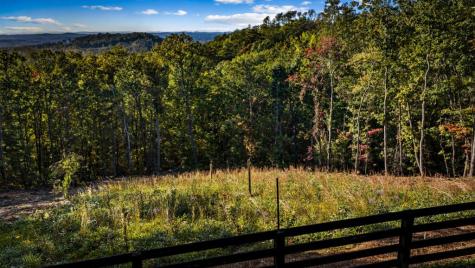 584 Shagbark Court Talking Rock GA 30175