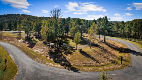 584 Shagbark Court Talking Rock GA 30175
