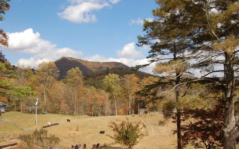 2663 Penland Road Hiawassee GA 30546