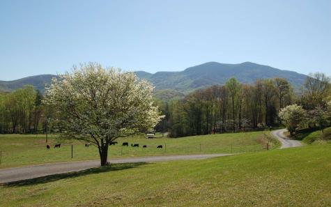 2663 Penland Road Hiawassee GA 30546