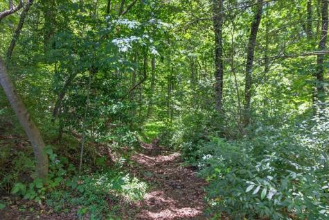 1965 E Highway 52 Ellijay GA 30536