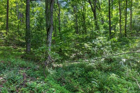 1965 E Highway 52 Ellijay GA 30536