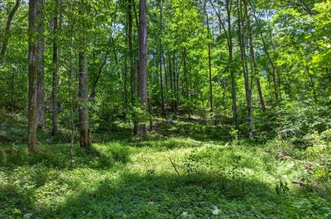 1965 E Highway 52 Ellijay GA 30536