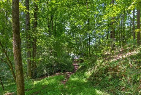 1965 E Highway 52 Ellijay GA 30536