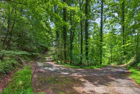 1965 E Highway 52 Ellijay GA 30536