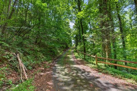 1965 E Highway 52 Ellijay GA 30536