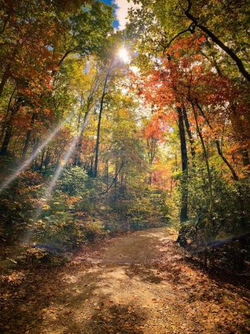 440 Hamby Road Murphy NC 28906