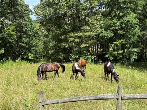 440 Hamby Road Murphy NC 28906