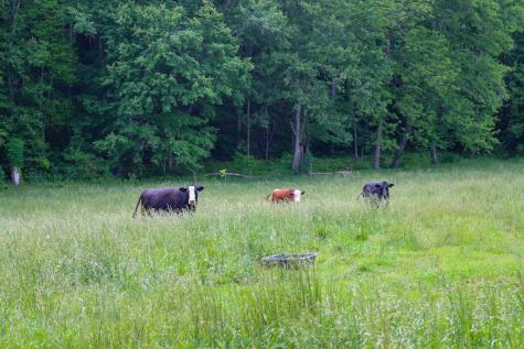 440 Hamby Road Murphy NC 28906