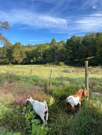 440 Hamby Road Murphy NC 28906