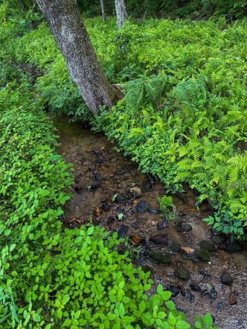 440 Hamby Road Murphy NC 28906