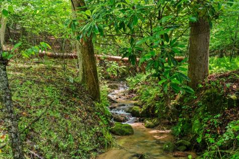 714 Pope Cove Trail Hayesville NC 28904